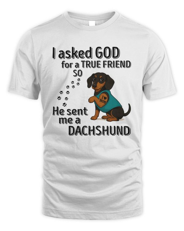 I asked GOD for a TRUE FRIEND so He sent me a Dachshund