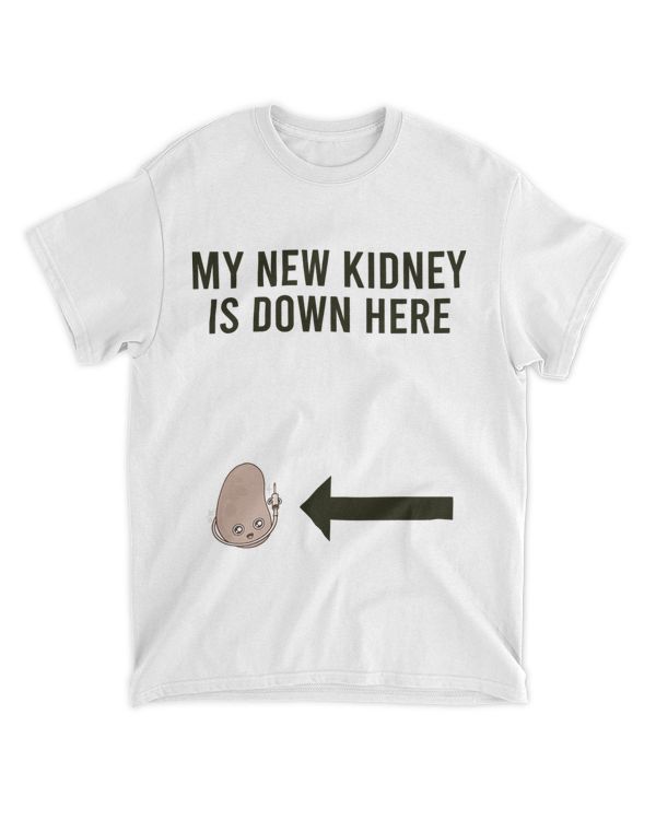 Kidney Transplant Cancer Disease Awareness Organ Donor 9 412