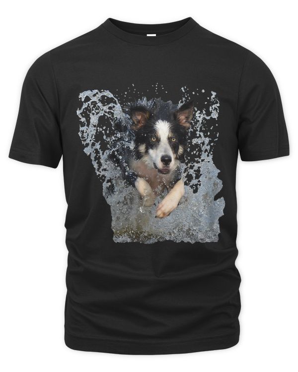 Womens Border Collie Womens Border Collie Running Through Water