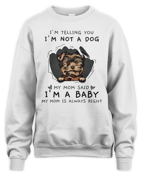 My Mom Said I'm A Baby Yorkie