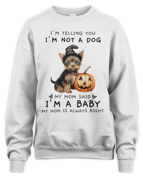 My Mom Said I'm A Baby Yorkie